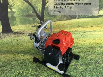 二冲程汽油机自吸水泵 园林机械化灌溉设备 轻便式小型农用抽水机图3
