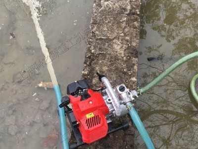 二冲程汽油机自吸水泵 园林机械化灌溉设备 轻便式小型农用抽水机图5