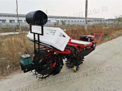 乘坐式大葱移栽器 拖拉机带动单双行种葱机 葱苗自动种植移栽机图4