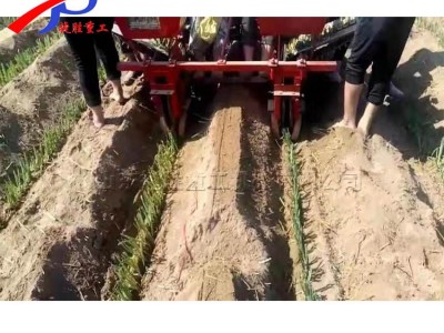 乘坐式大葱移栽器 拖拉机带动单双行种葱机 葱苗自动种植移栽机图5