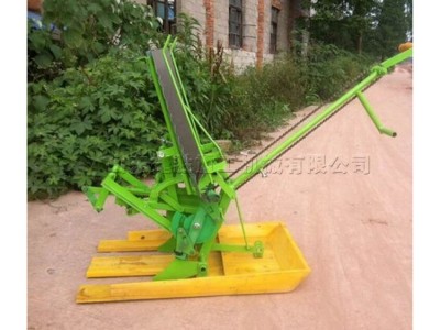 两行人力小型手摇插秧机 农用水稻插秧种植机 手动步退式播种机图3