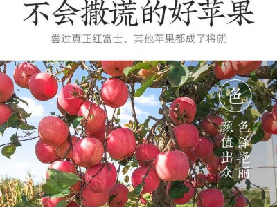 正宗陕西红富士苹果脆甜冰糖心应季当季水果新鲜10斤装批发一整箱图5