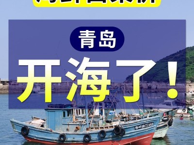 【无冰衣】开海特价特大虾仁新鲜真空包装现剥青虾仁批发海鲜顺丰图5
