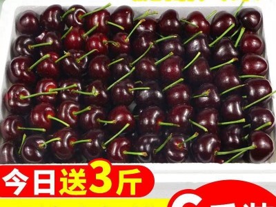 樱桃水果6斤山东大樱桃国产车厘子新鲜美早特当季孕妇整箱批发图2