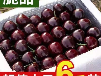 樱桃水果6斤山东大樱桃国产车厘子新鲜美早特当季孕妇整箱批发图3