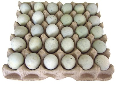 【至顺】松花蛋62g/枚散货 雄安特产 白洋淀咸鸭蛋皮蛋烤鸭蛋厂家图5