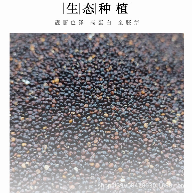 主图 (4).jpg