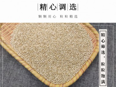 白藜麦厂家批发白藜麦五谷杂粮三色藜麦图4