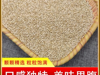 白藜麦厂家批发白藜麦五谷杂粮三色藜麦图2