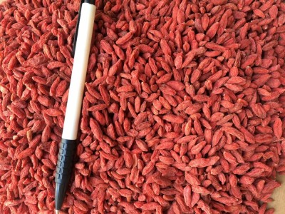 宁夏枸杞500g 干吃免洗枸杞食品 枸杞小颗粒散装厂家批发2021新货图3