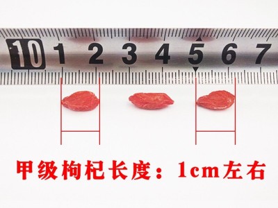 宁夏枸杞500g 干吃免洗枸杞食品 枸杞小颗粒散装厂家批发2021新货图4