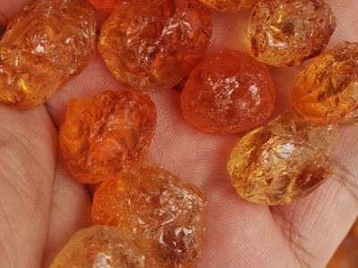 手工少杂质人工精修剪桃胶批发 中颗粒水晶桃胶 产地桃花泪桃树膠图4