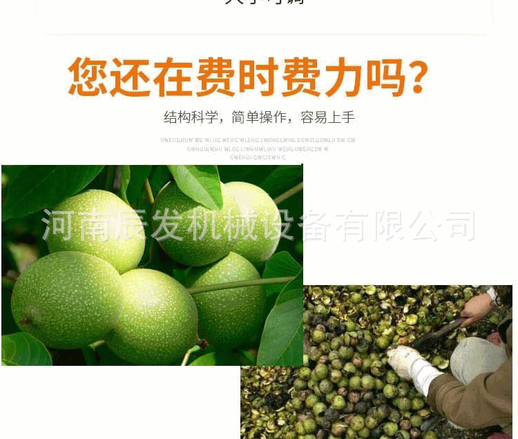 核桃去皮机细节_03.gif