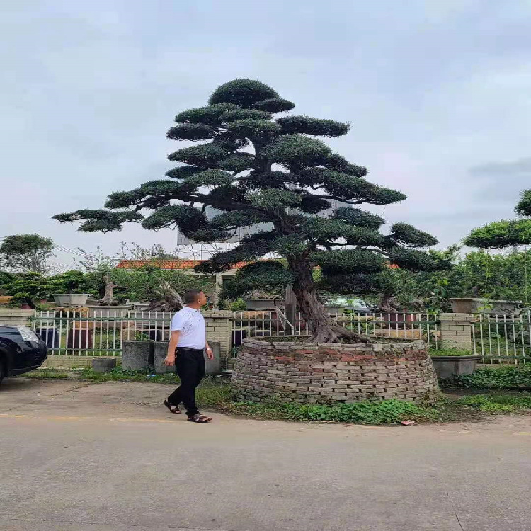 微信图片_20210206104512.png