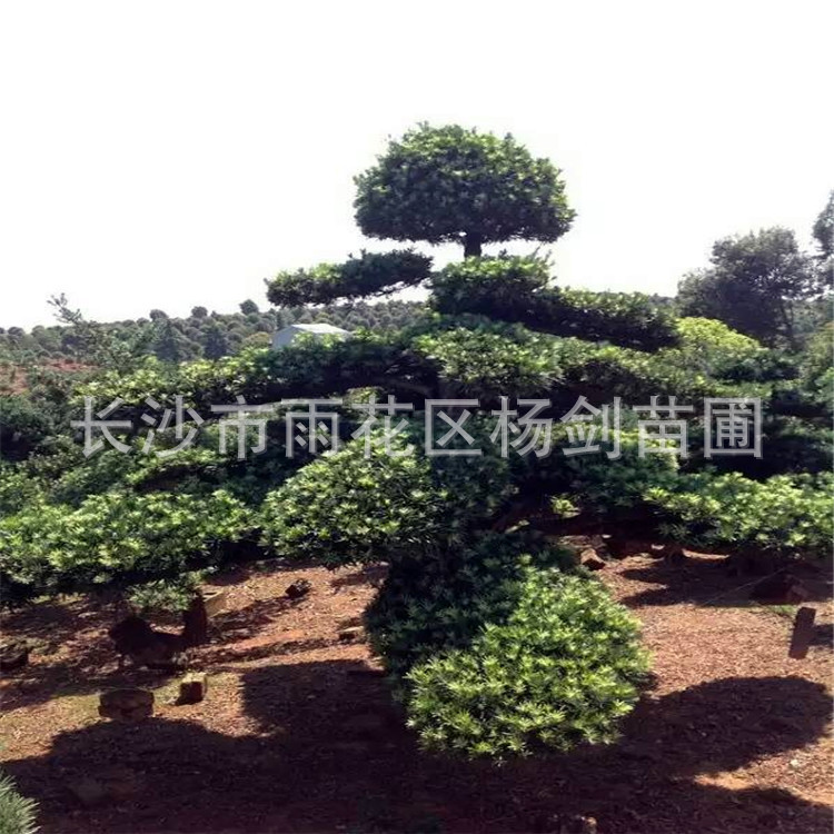 mmexport1460036239201