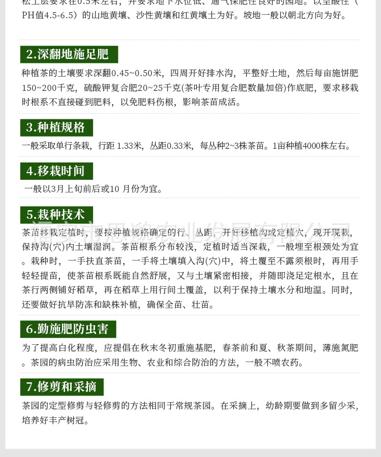 黄观音详情_16.jpg