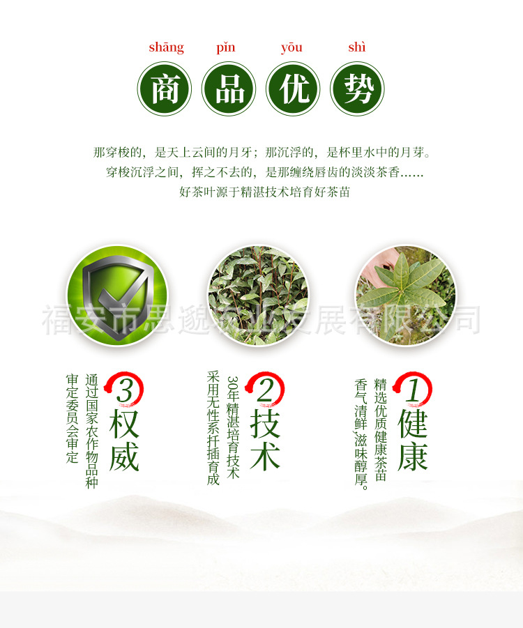 黄观音详情_05.jpg