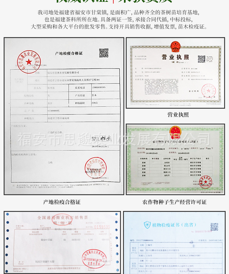 金观音详情_11.jpg