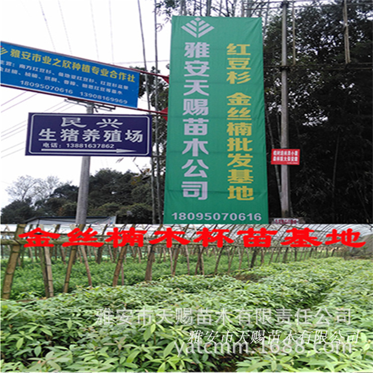 广告牌.png