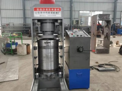 一次装料300斤榨油机 最大型号榨油机 高效压榨茶籽油图2