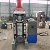 一次装料300斤榨油机 最大型号榨油机 高效压榨茶籽油