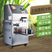 可定制304不锈钢 新款双电源立式全自动生榨 小型商用甘蔗榨汁机