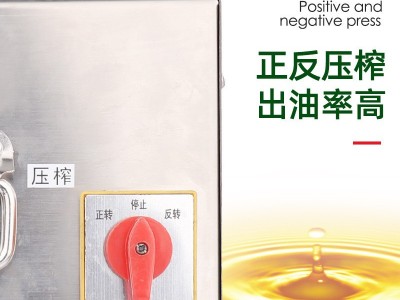 YG15花生菜籽压榨机 全自动家用商用榨油机 不锈钢小型家用榨油机图3