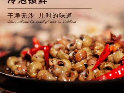 老长沙口味嗦螺田螺泥螺炒螺蛳香辣嗦螺500g馋个鲜田螺商用半成品图3