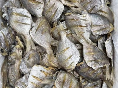 南昌鱼 鱼干 咸鱼 淡口 海鲜水产干货批发图2