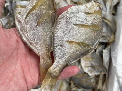 南昌鱼 鱼干 咸鱼 淡口 海鲜水产干货批发图3