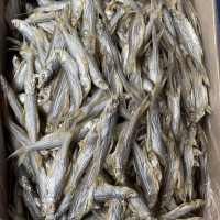 海鲜水产干货 鱼干 咸鱼批发 翘嘴鱼