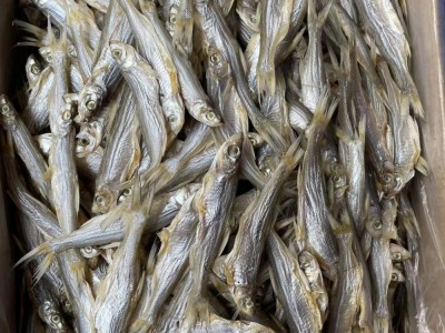 海鲜水产干货 鱼干 咸鱼批发 翘嘴鱼图4