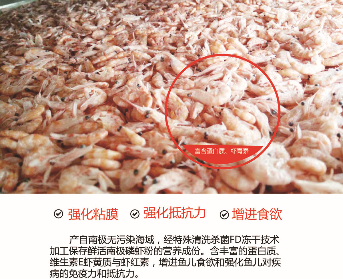 详情3