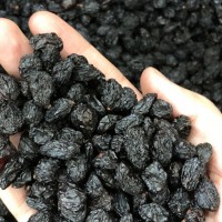 清洗黑加仑 乌兹别克斯坦干果 自然晾晒 黑葡萄干 散装整箱批