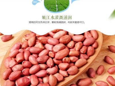 厂家直销 东北四粒红花生330g/袋 红皮花生 长生果 泰来花生 养生图4