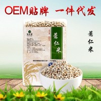 绿谷馨 小粒薏仁米300g/袋 薏米