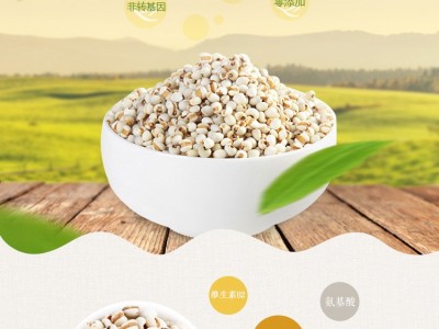 绿谷馨 小粒薏仁米300g/袋 薏米图4