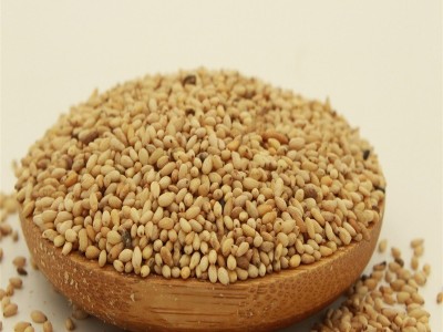 熟芝麻粒50斤共香味来炒熟白芝麻粒粗细熟芝麻图3