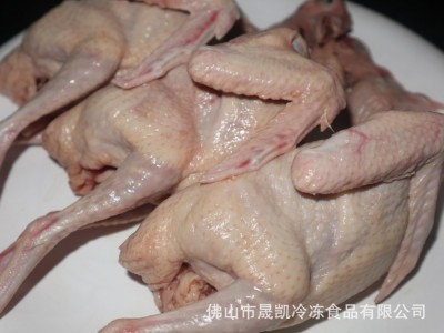 冰鲜红烧乳鸽 新鲜乳鸽 鲜冻乳鸽 乳鸽 广式烧鸽子 去内脏净堂图3
