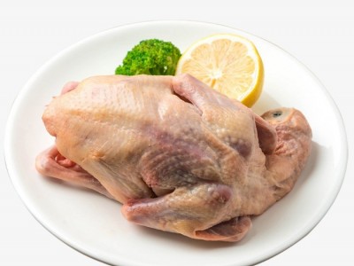 冰鲜红烧乳鸽 新鲜乳鸽 鲜冻乳鸽 乳鸽 广式烧鸽子 去内脏净堂图2