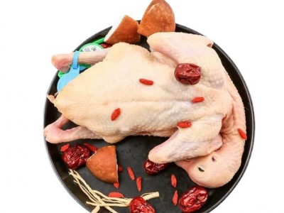 冰鲜红烧乳鸽 新鲜乳鸽 鲜冻乳鸽 乳鸽 广式烧鸽子 去内脏净堂图4