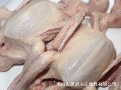冰鲜红烧乳鸽 新鲜乳鸽 鲜冻乳鸽 乳鸽 广式烧鸽子 去内脏净堂图5