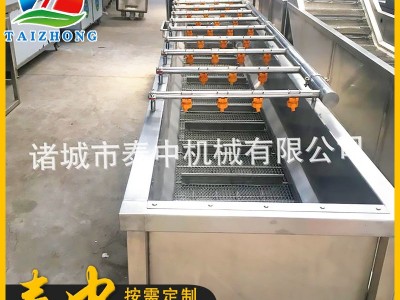 高压喷淋式气泡清洗线 商用不锈钢果蔬清洗机 大枣秋葵清洗设备图4