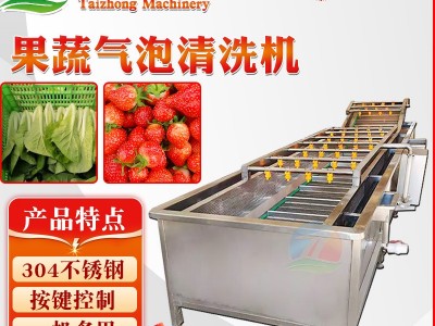 高压喷淋式气泡清洗线 商用不锈钢果蔬清洗机 大枣秋葵清洗设备图3