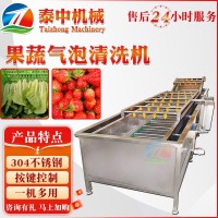 高压喷淋式气泡清洗线 商用不锈钢果蔬清洗机 大枣秋葵清洗设备