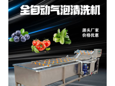 海鲜气泡清洗机 不锈钢全自动水果蔬菜清洗机 海带鱼虾类清洗设备图3