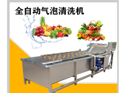 海鲜气泡清洗机 不锈钢全自动水果蔬菜清洗机 海带鱼虾类清洗设备图2