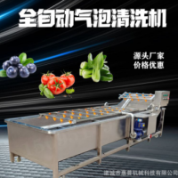 海鲜气泡清洗机 不锈钢全自动水果蔬菜清洗机 海带鱼虾类清洗设备