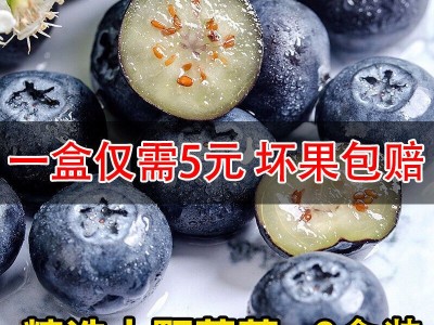 特大果蓝莓新鲜批发李果一斤孕妇宝宝当季水果盒装图3