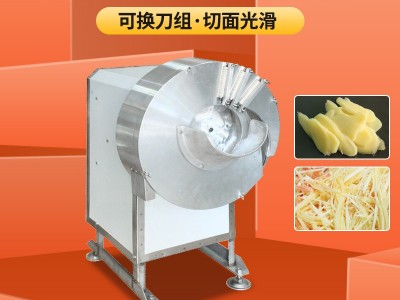 工厂直销 全自动土豆切片机 大型商用萝卜切丝机 电动姜片姜丝机图2